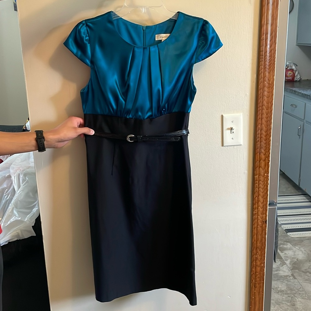 Dress Barn Dress
